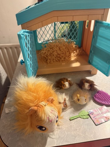 Little live pets guinea pig - little,