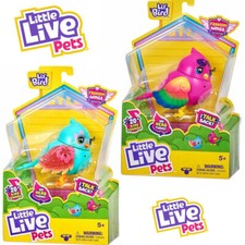 Little Live Pets Lil' Bird