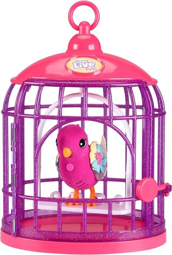 Little live pets - live, bird