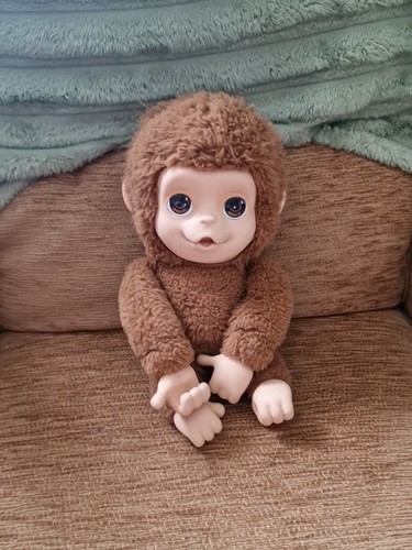Little live pets baby mango - baby,