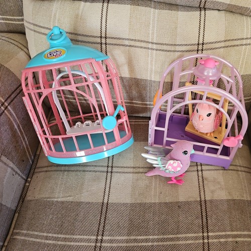Little live pets lil - pets, bird