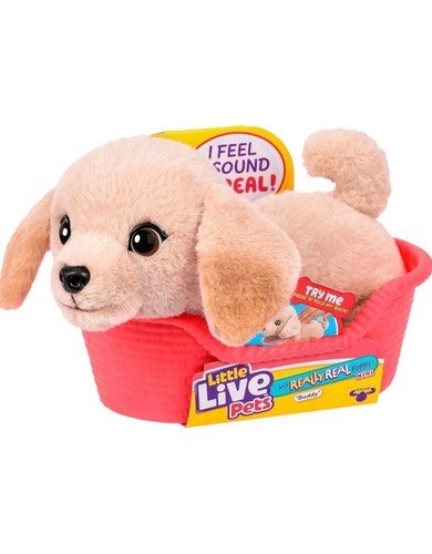 Little live pets really - live,
