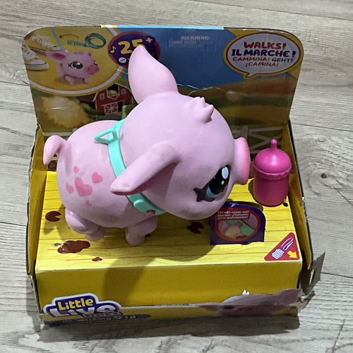 Little live pets walking pig - live,