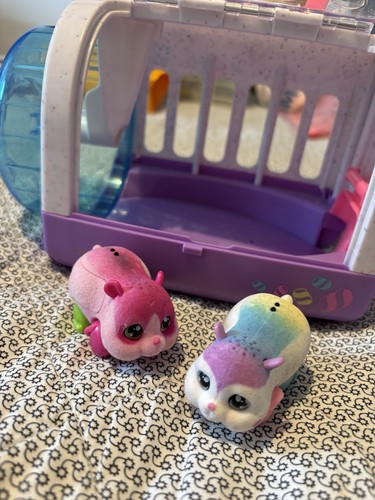 Little live pets - live, hamster