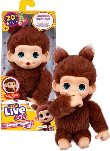 Little live pets - pets, baby